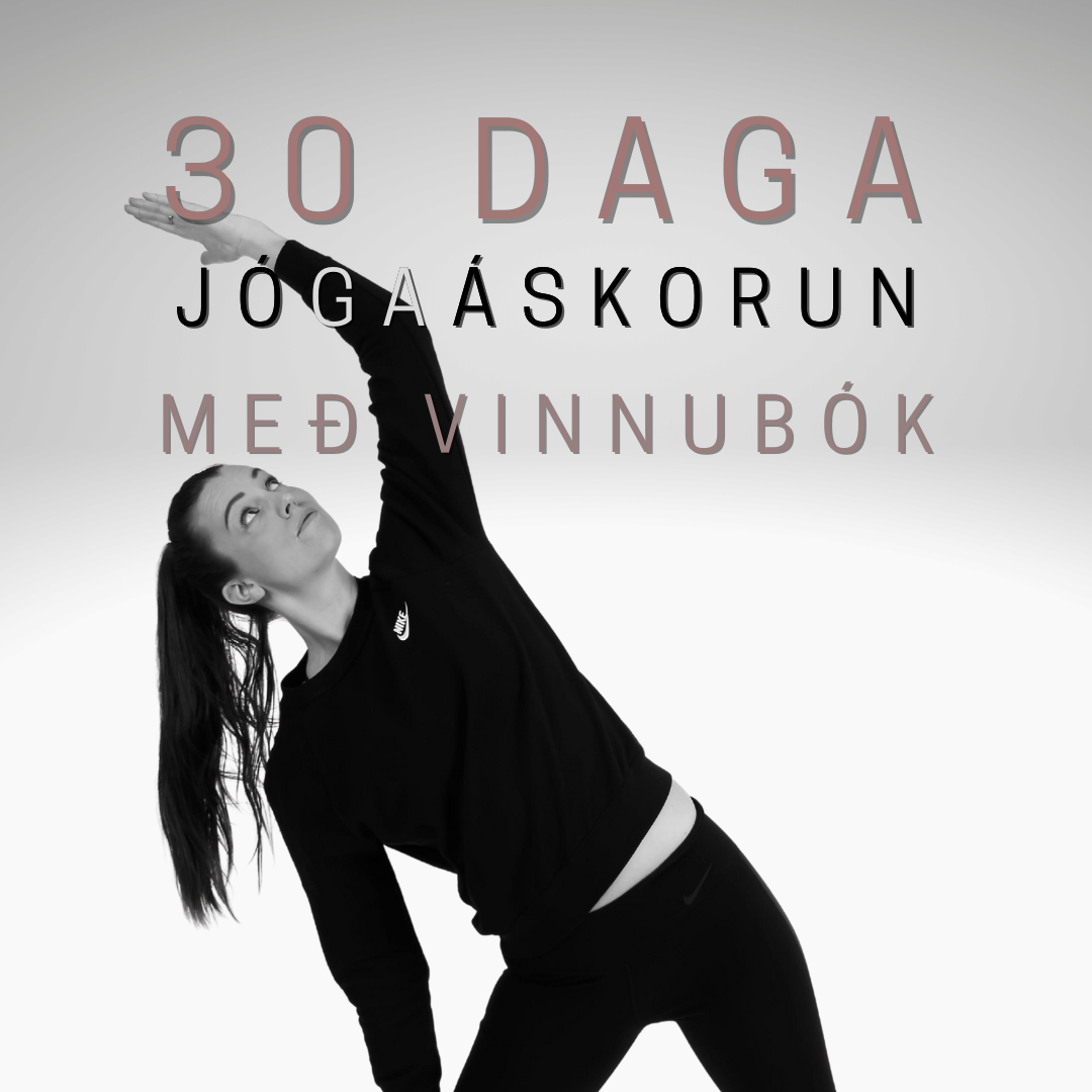 Product image for 30 dagar + vinnubók