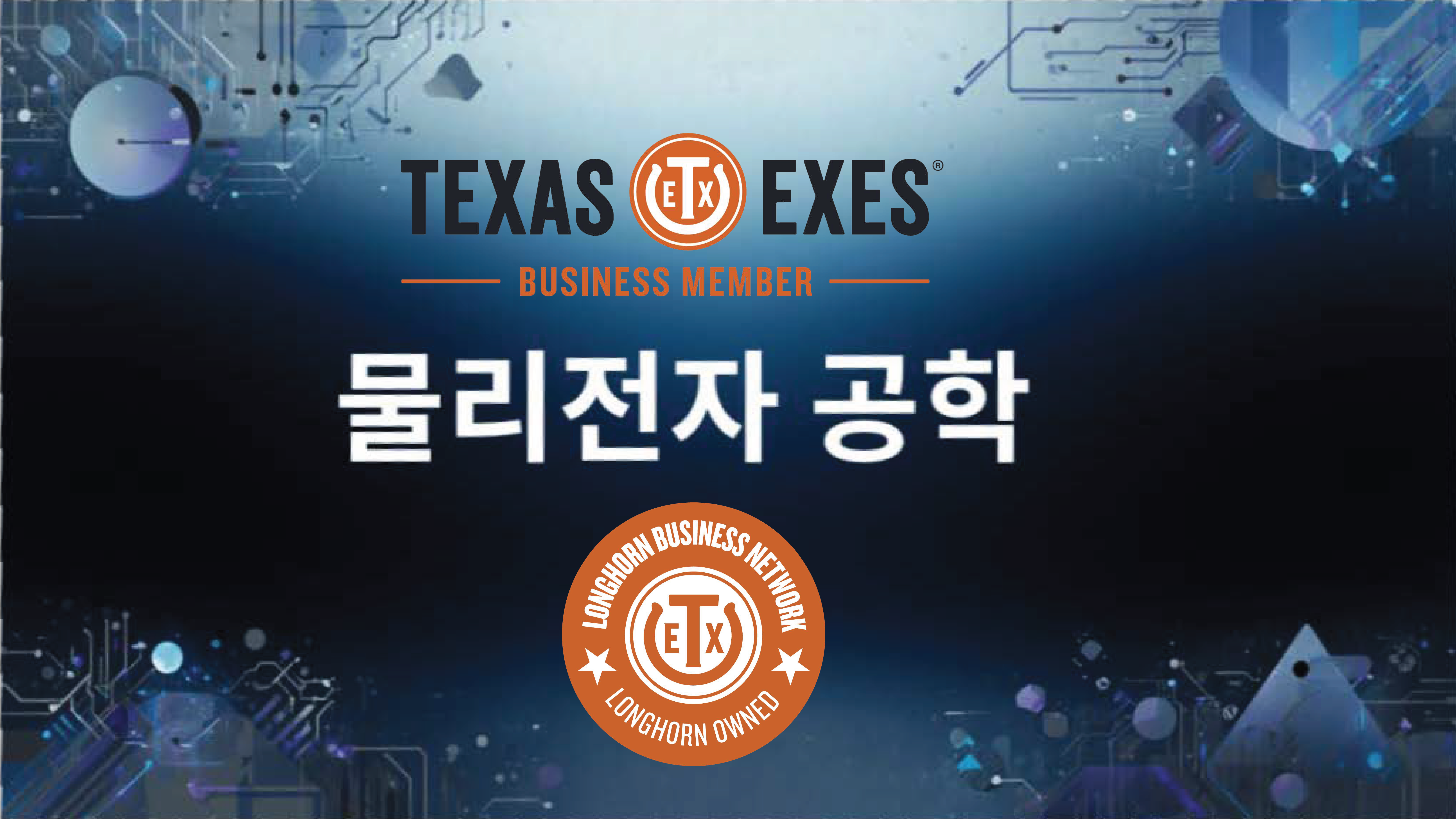 Product image for 물리전자공학 