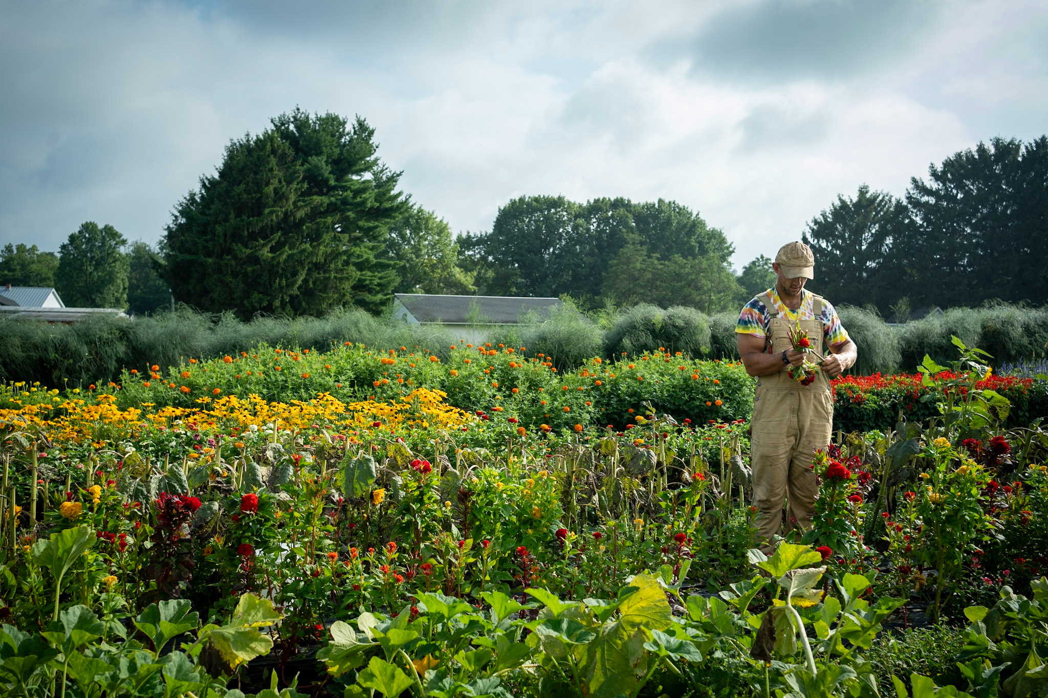 Rodale Institute farmers &amp; researchers working in organic fields