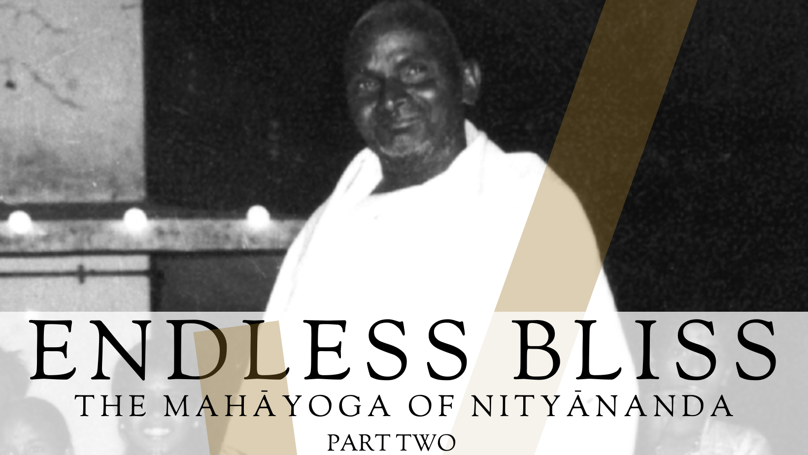 Product image for Endless Bliss - The Mahāyoga of Nityānanda (Part Two)