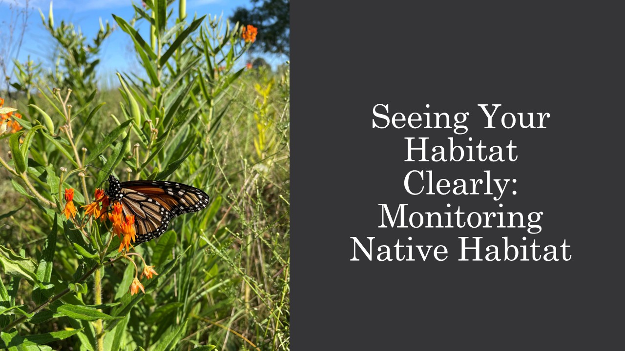 Product image for Seeing Your Habitat Clearly: Monitoring Native Habitat