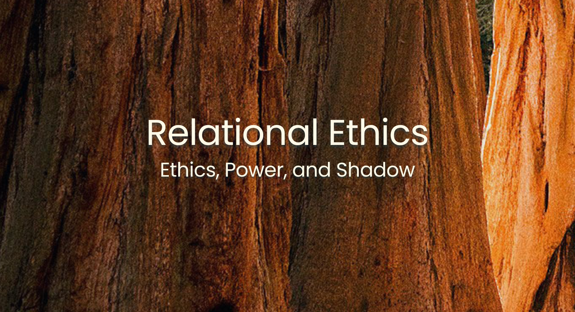 Product image for Ethics, Power, and Shadow: Relational Ethics Intensive July 2027
