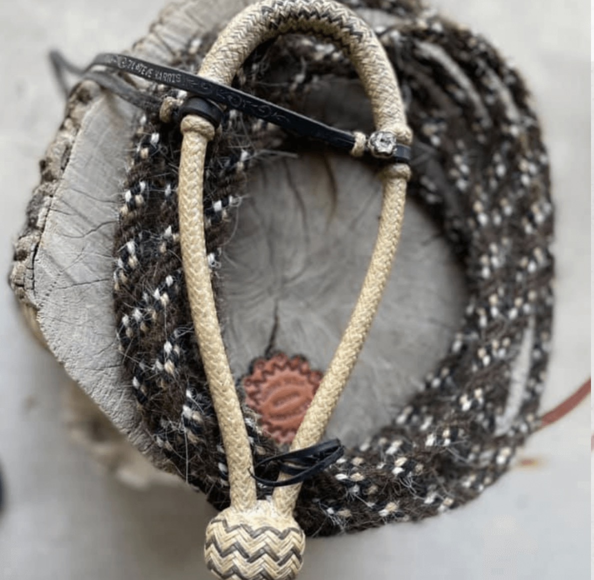 Product image for September Video Focus - Selecting the Hackamore & Tying the Mecate