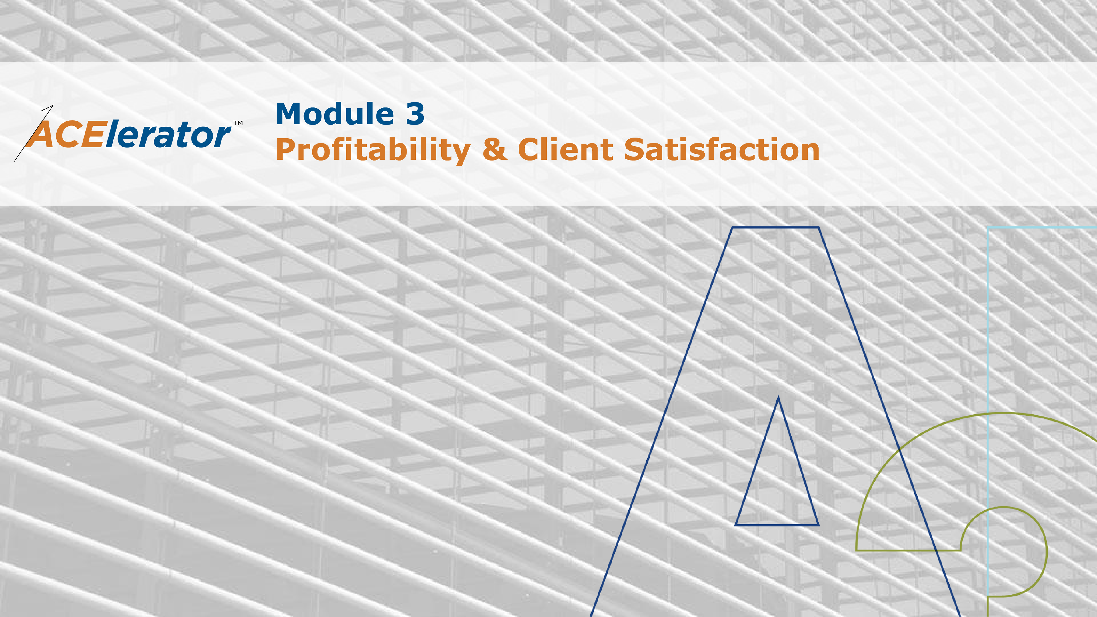 Product image for Module 3: Profitability & Client Satisfaction