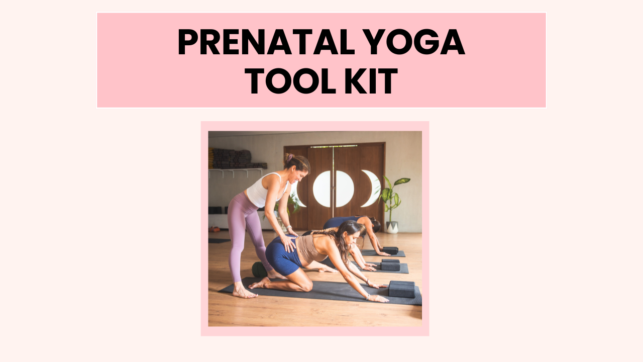 Product image for Prenatal Yoga Toolkit