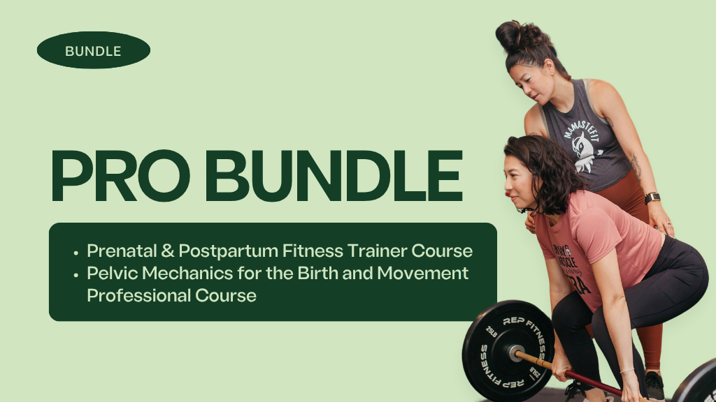 Product image for Pro Bundle