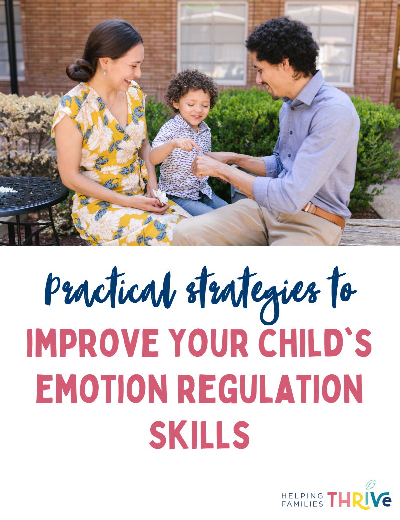 Product image for Emotion Regulation Guide - English