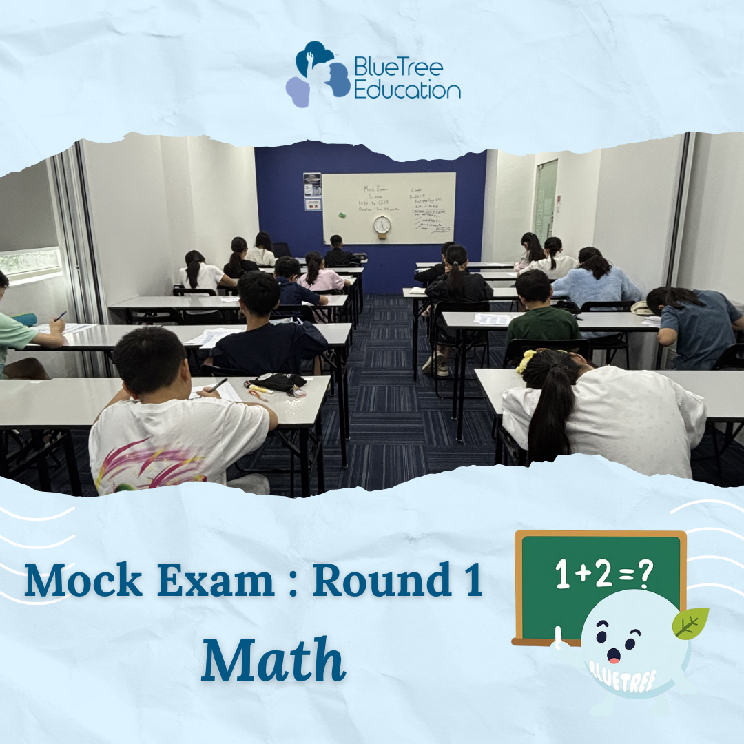 Product image for Mock Exam 2026 - Round 1 : Math