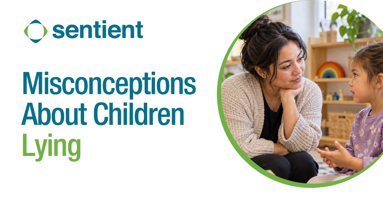 Product image for Misconceptions About Children Lying