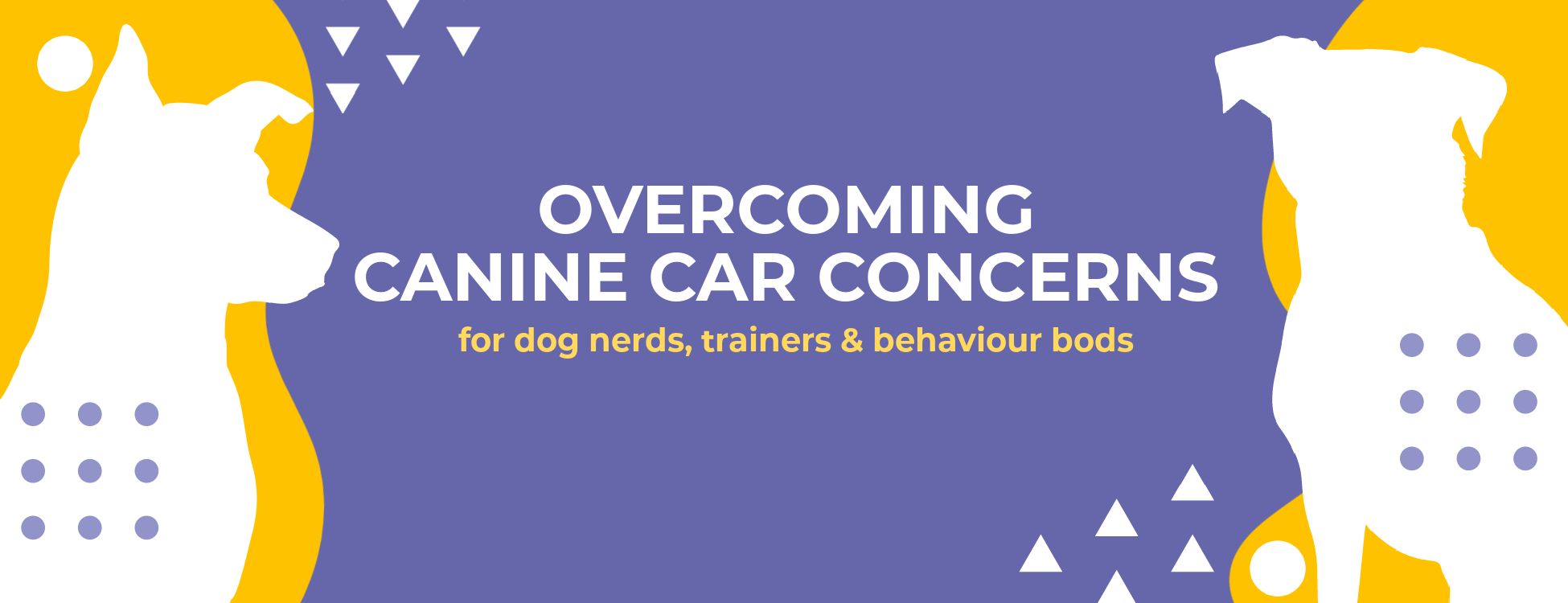 Product image for Overcoming Canine Car Concerns