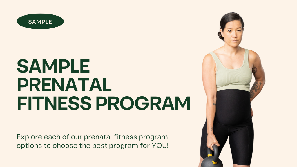 Product image for Sample Prenatal Fitness Program