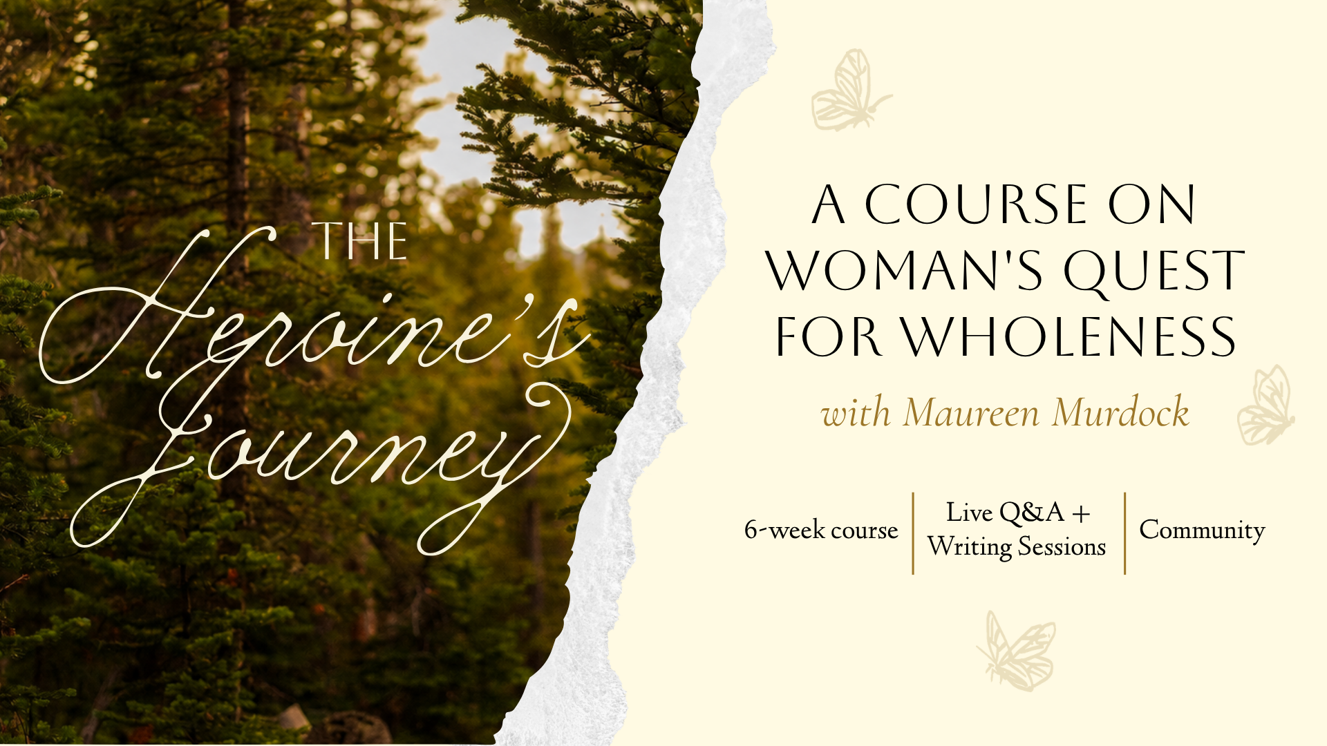 Product image for The Heroine's Journey