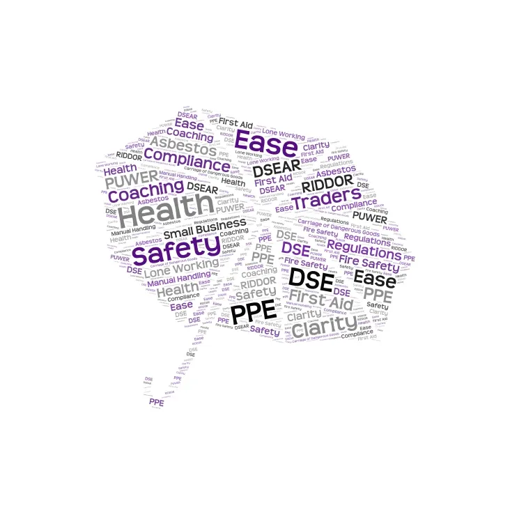 Product image for Health and Safety Compliance Awareness for Sole Traders and Small Businesses 