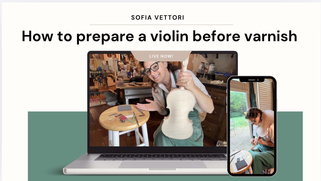 Product image for How to prepare a violin before varnish