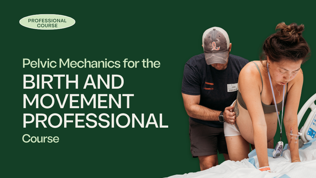 Product image for Pelvic Mechanics for the Birth and Movement Professional Course