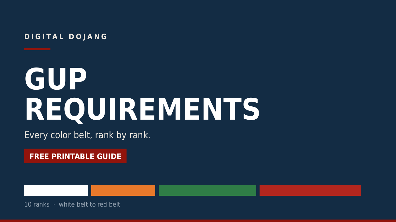 Product image for Belt Requirements Guide — Free PDF