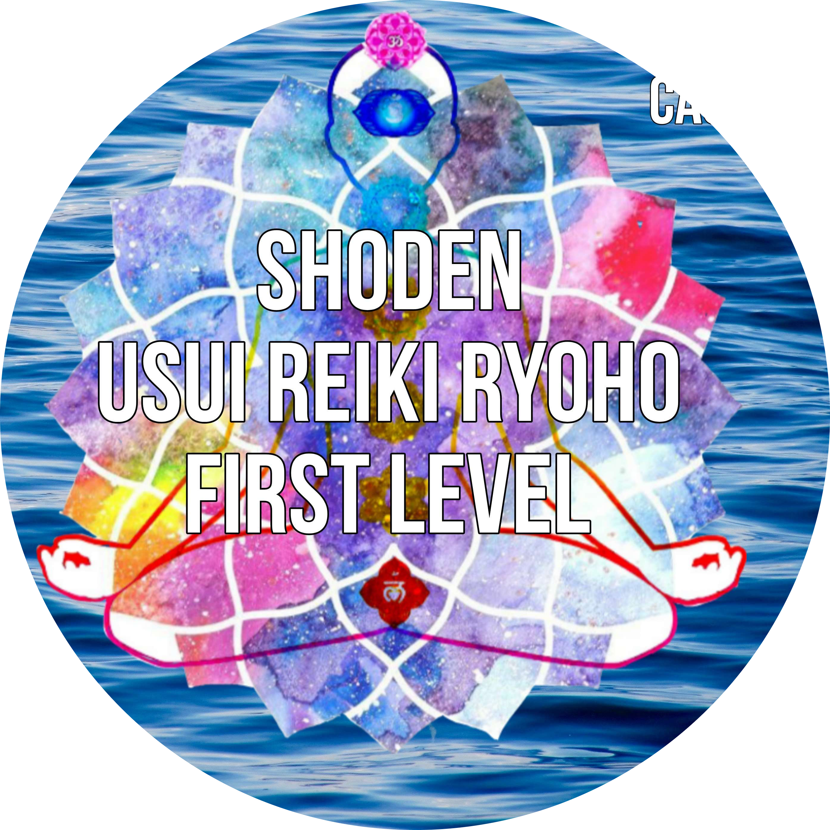 Product image for Usui Reiki Level I