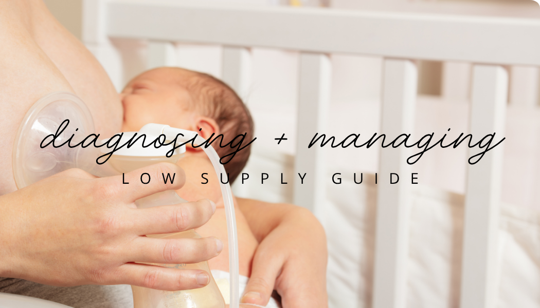 Product image for Low Breastmilk Supply Guide