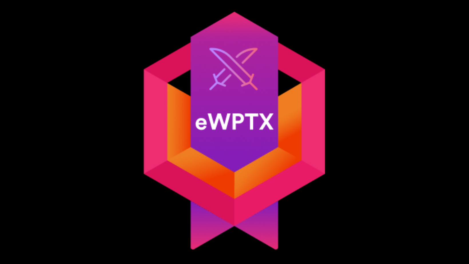 صورة المنتج لـ eWPTX v3