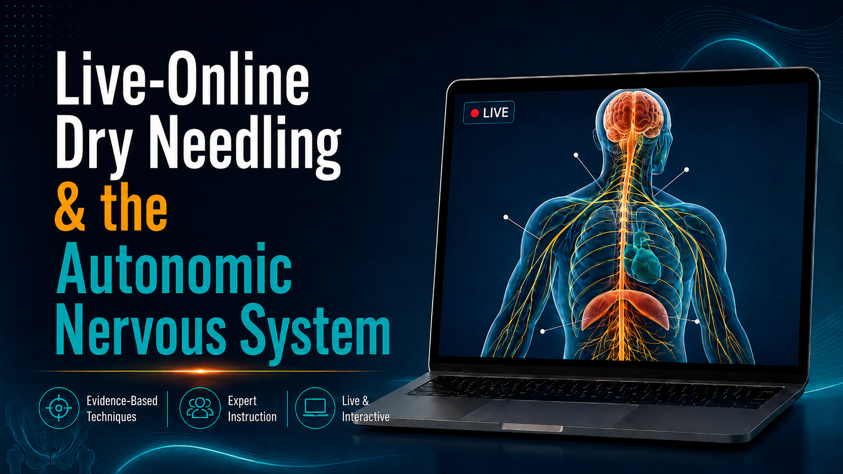 Product image for Live-Online Dry Needling: Dry Needling & The Autonomic Nervous System