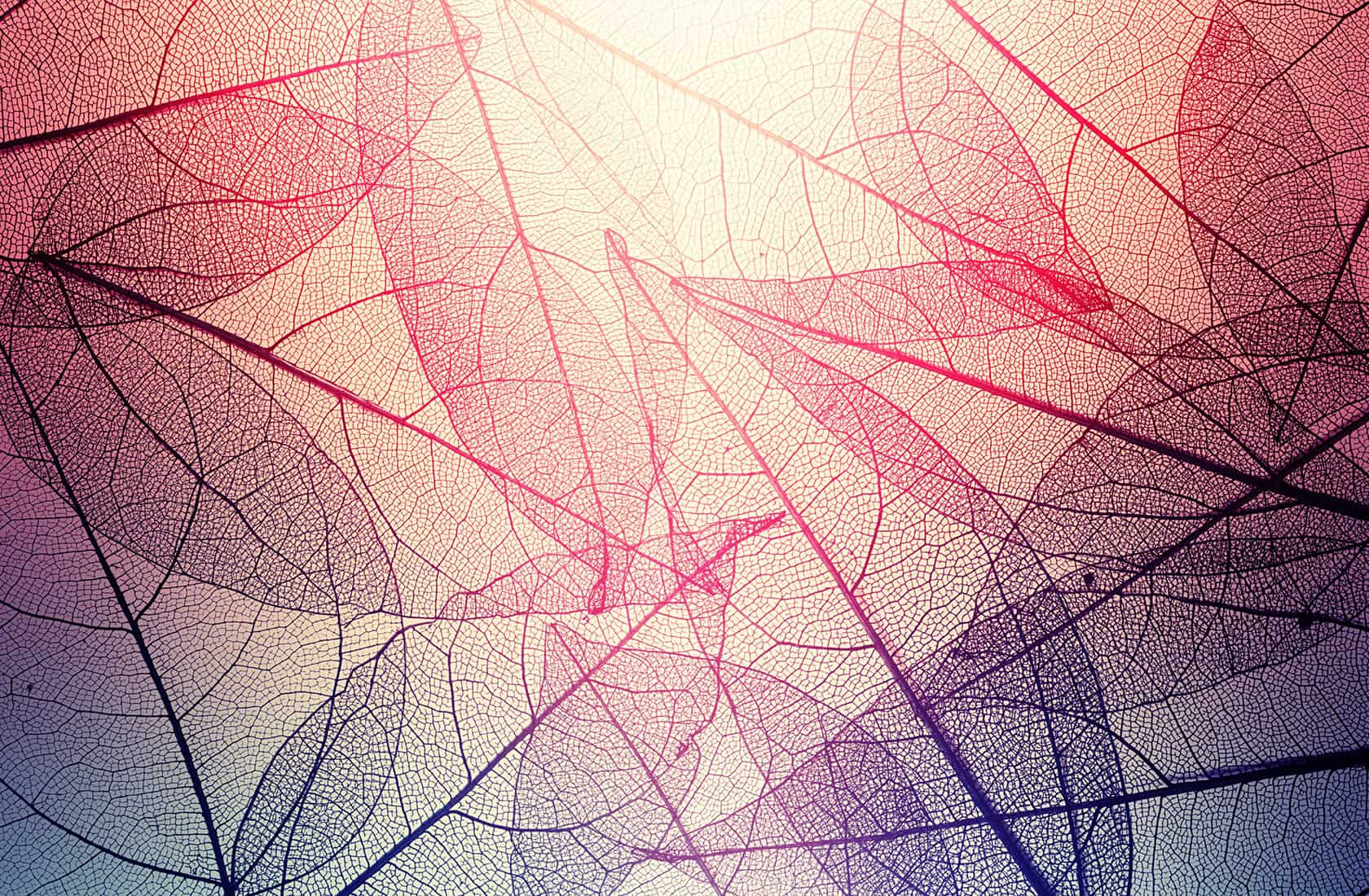 Product image for NeuroAlchemy: The Science of Awakening Your Brain’s Full Potential
