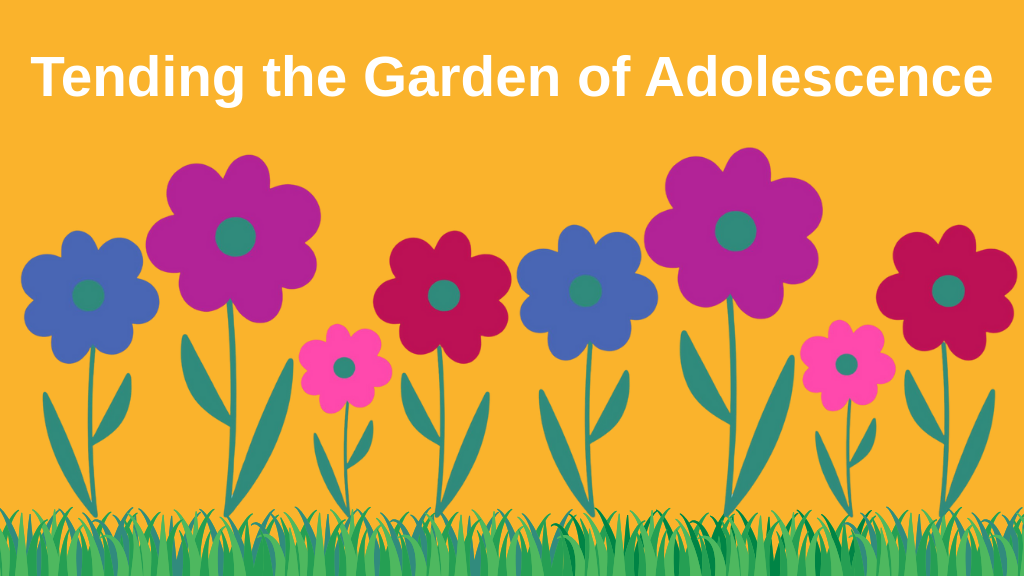 Product image for Tending the garden of adolescence: What every parent needs to know