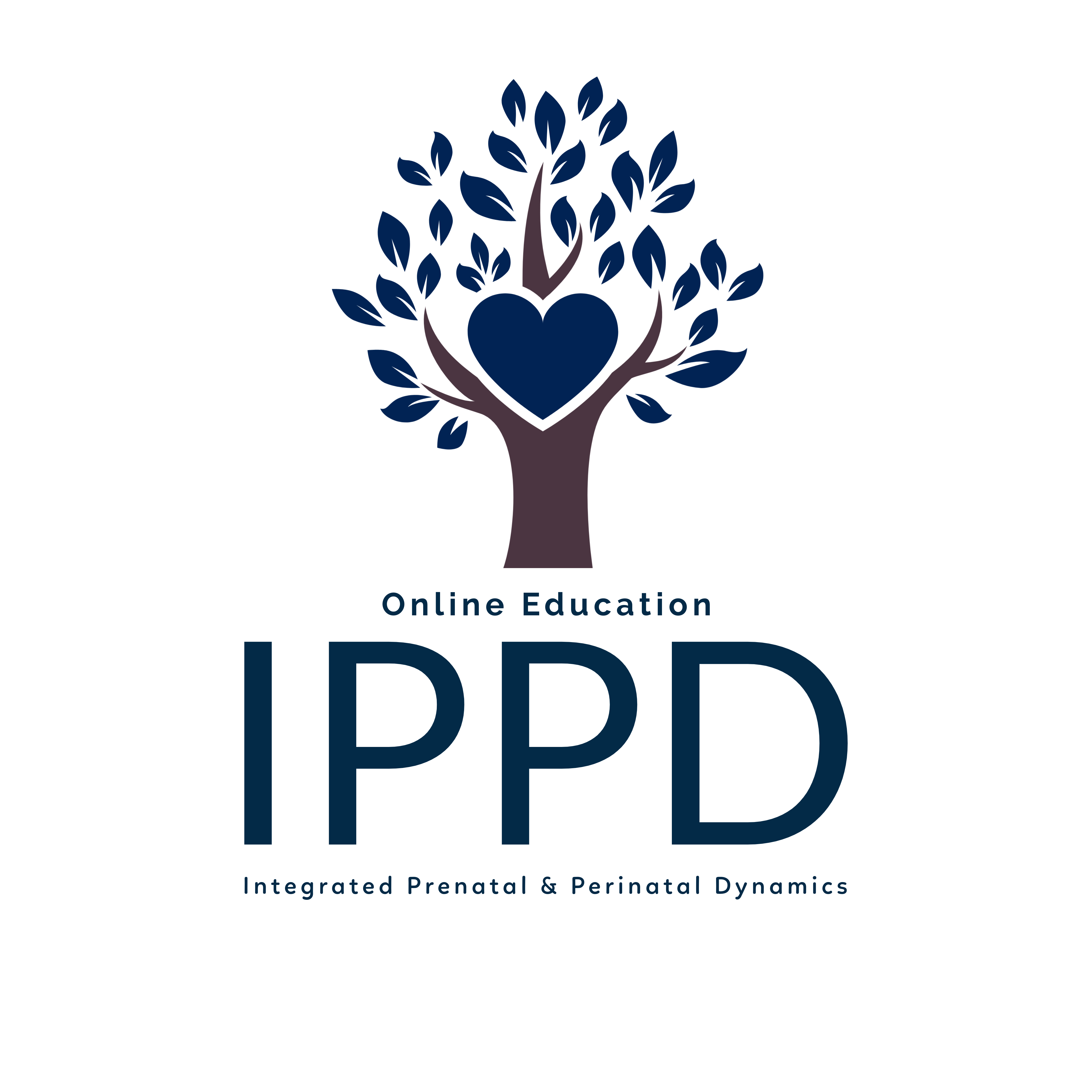 Product image for Integrated Prenatal and Perinatal Dynamics Module 9