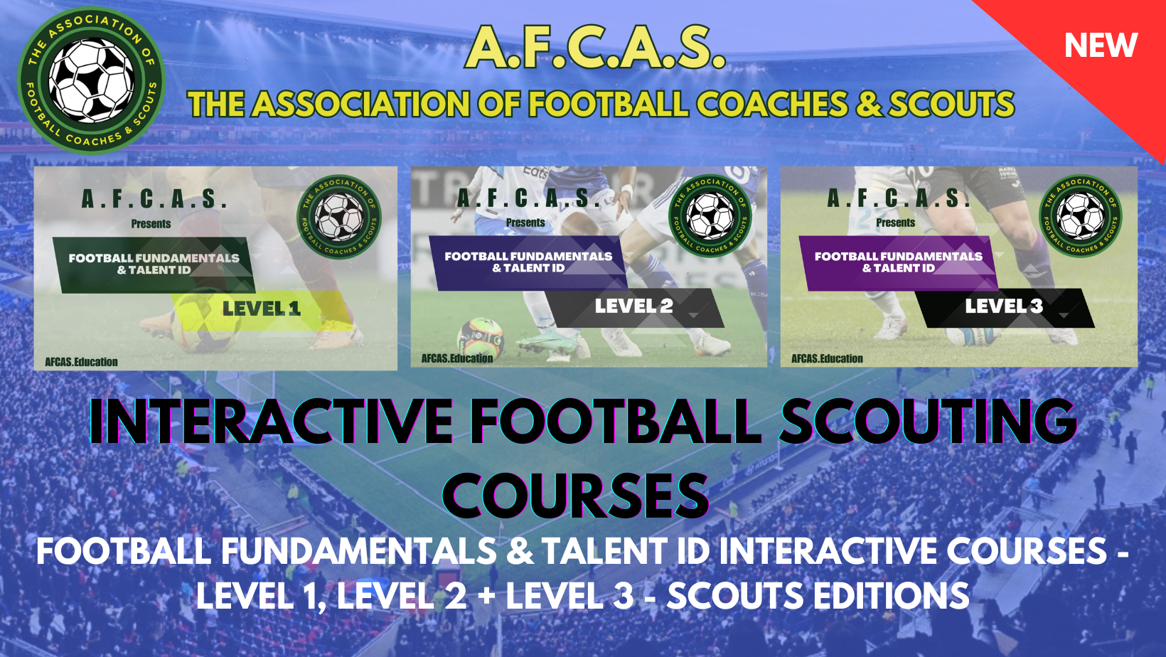 Product image for FFTID  - LEVEL 1, LEVEL 2 &amp; LEVEL 3 - SCOUTS EDITION - SPECIAL OFFER