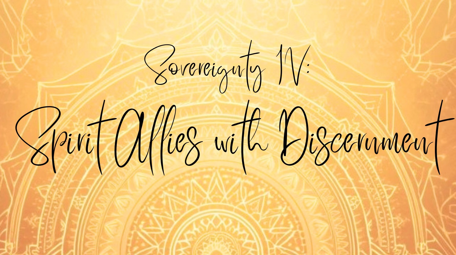 Product image for Sovereignty IV: Spirit Allies with Discernment