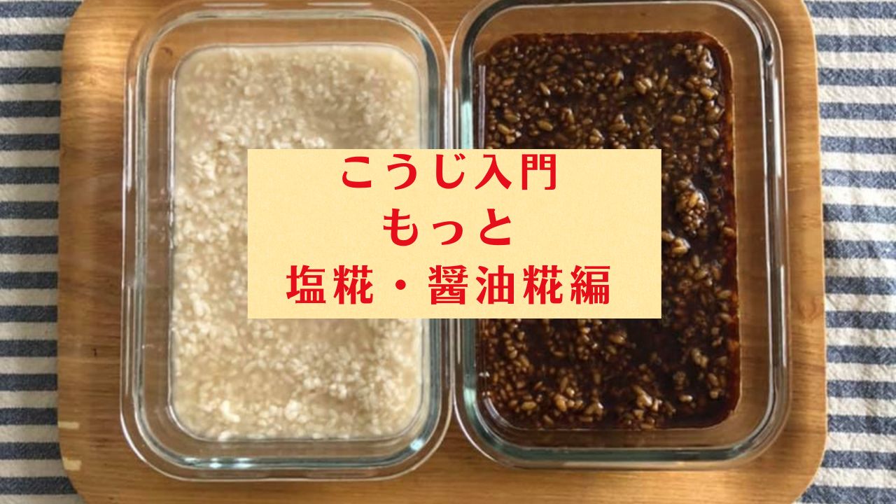 Product image for (1) 糀入門〜もっと塩糀・醬油糀編〜