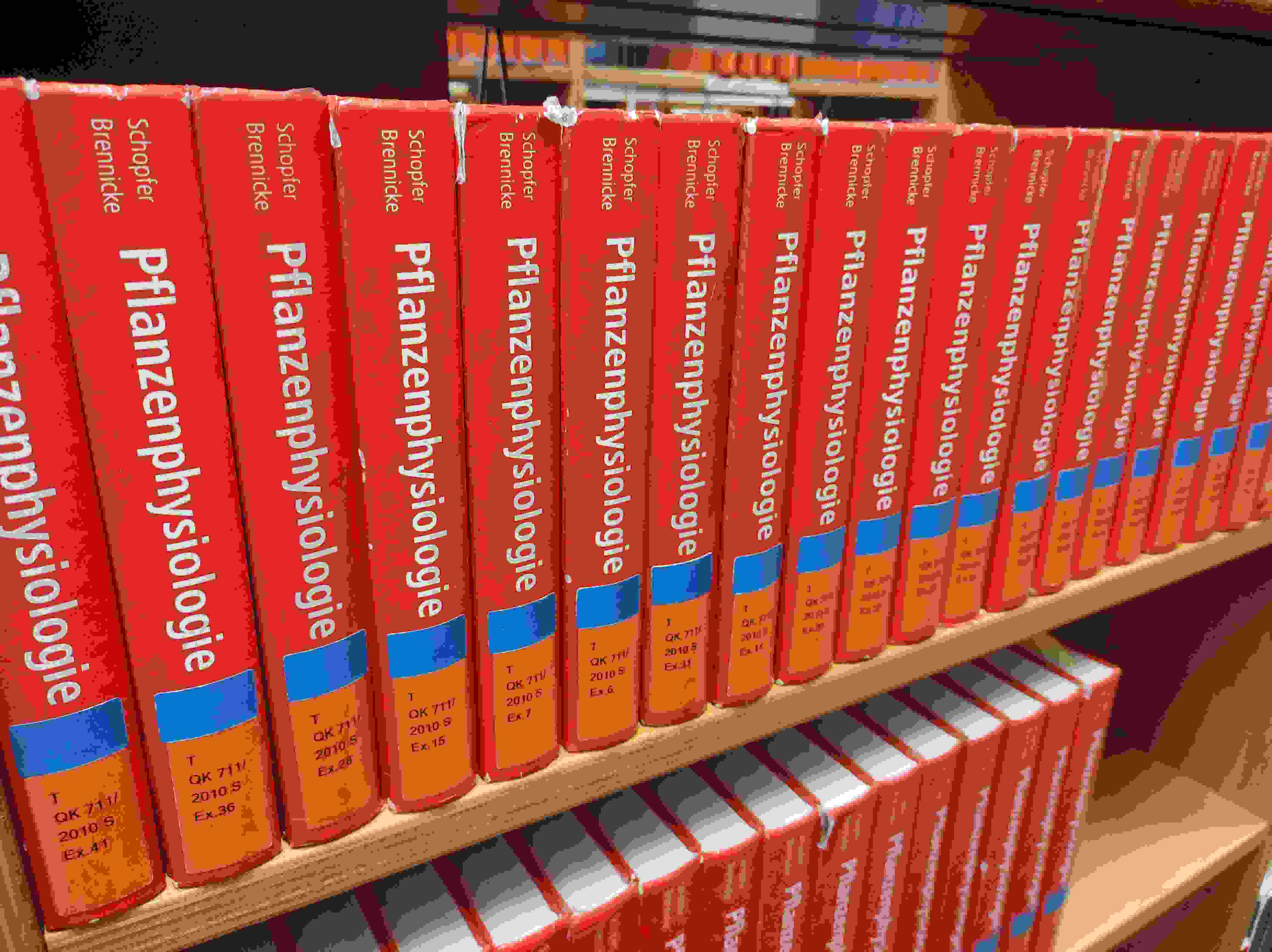 Product image for Vocabulary for the Library_Vocabulary pack_A2_1-3