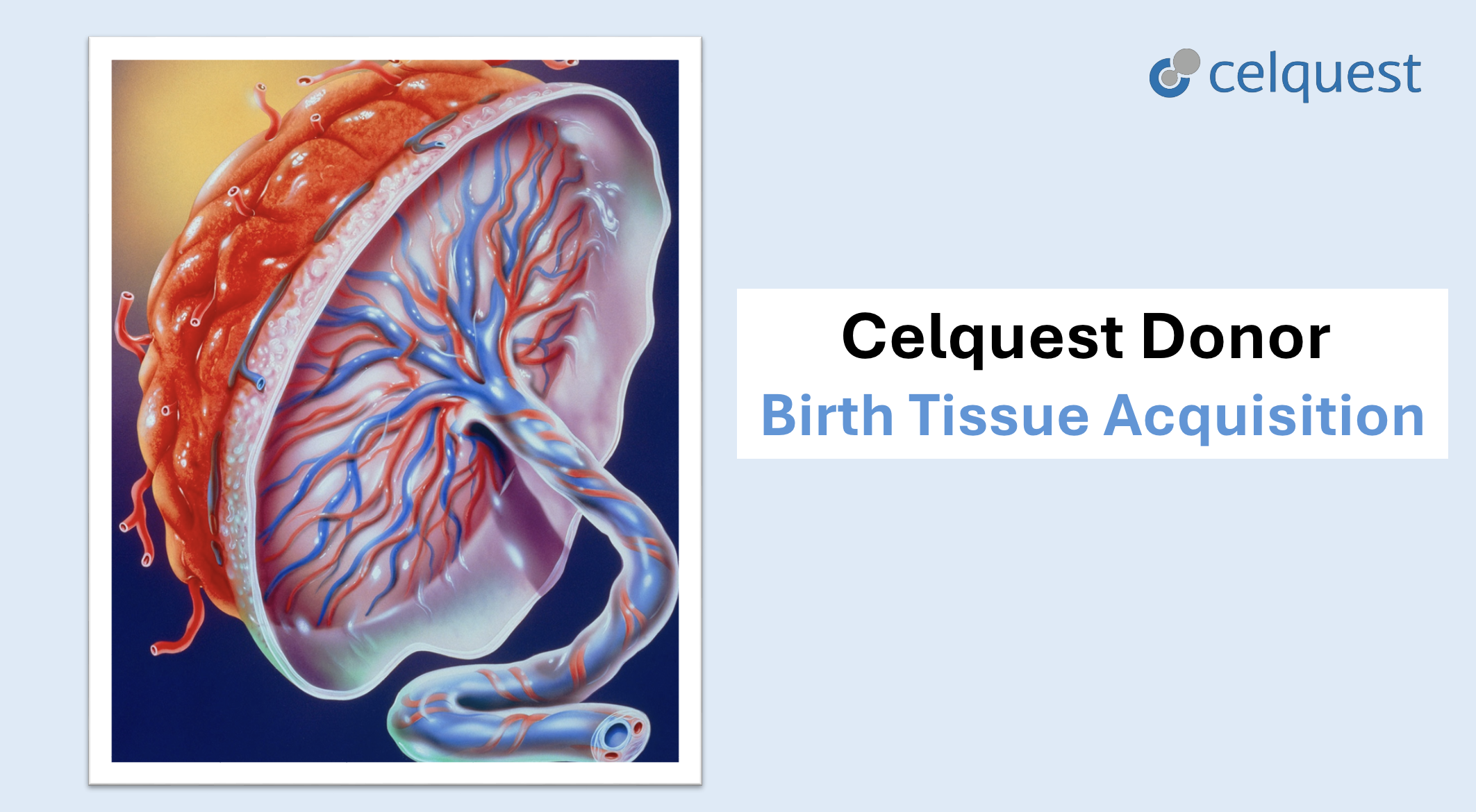 Product image for CEL-VID-007 Ver 0-  Birth Tissue Acquisition Training
