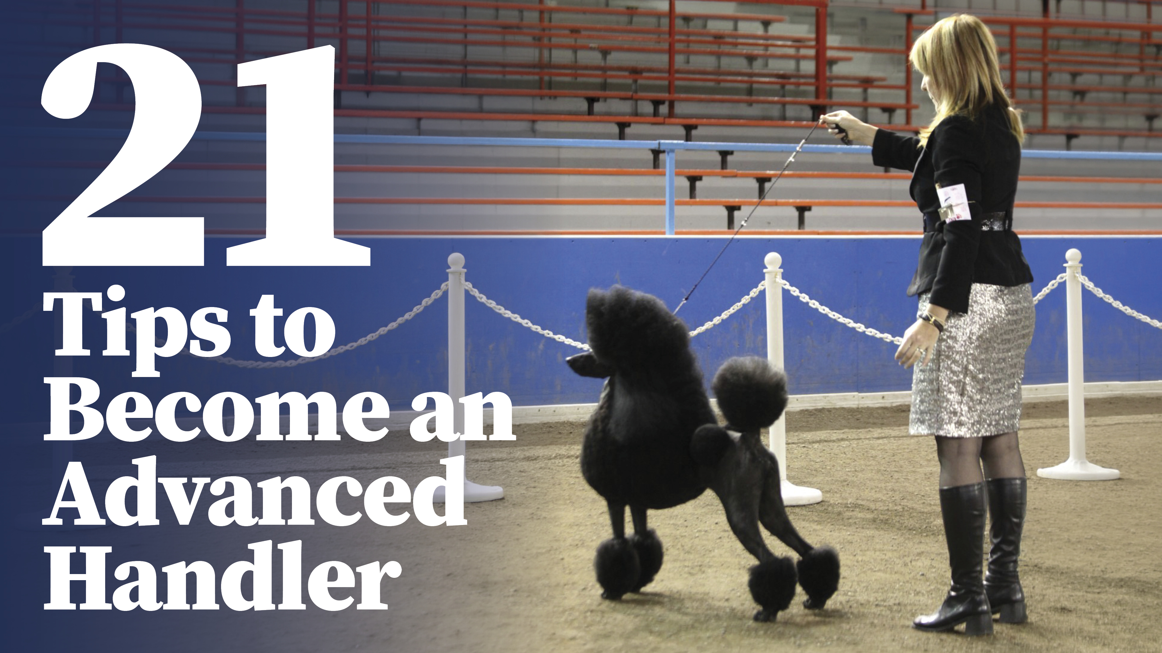 Product image for 21 Tips to Become An Advanced Handler