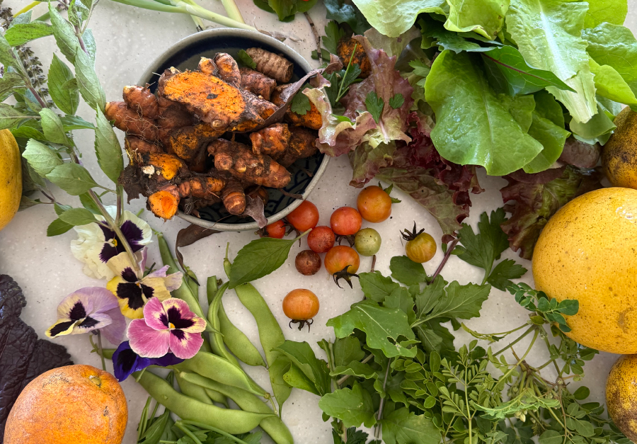 Product image for Vegan Nutrition Course