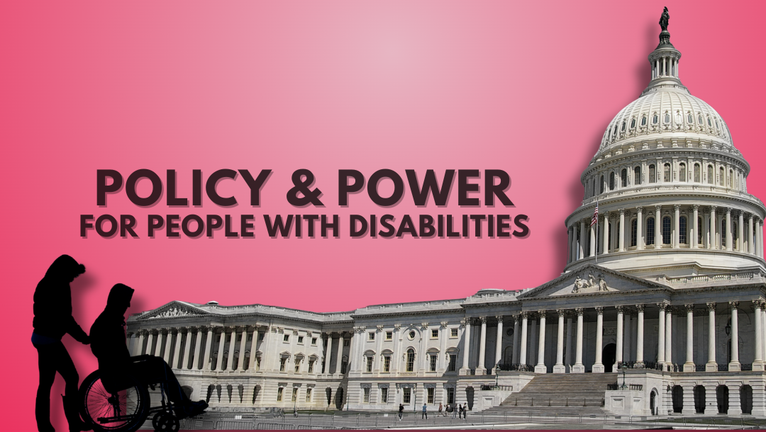 Product image for Policy and Power for Disability Voices