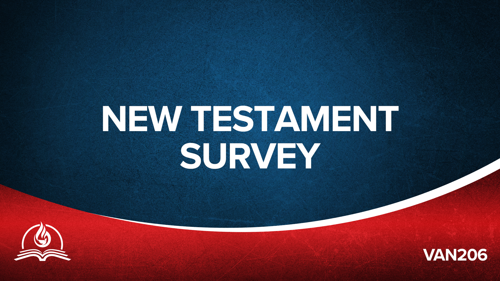 Product image for VAN206 | New Testament Survey (4)