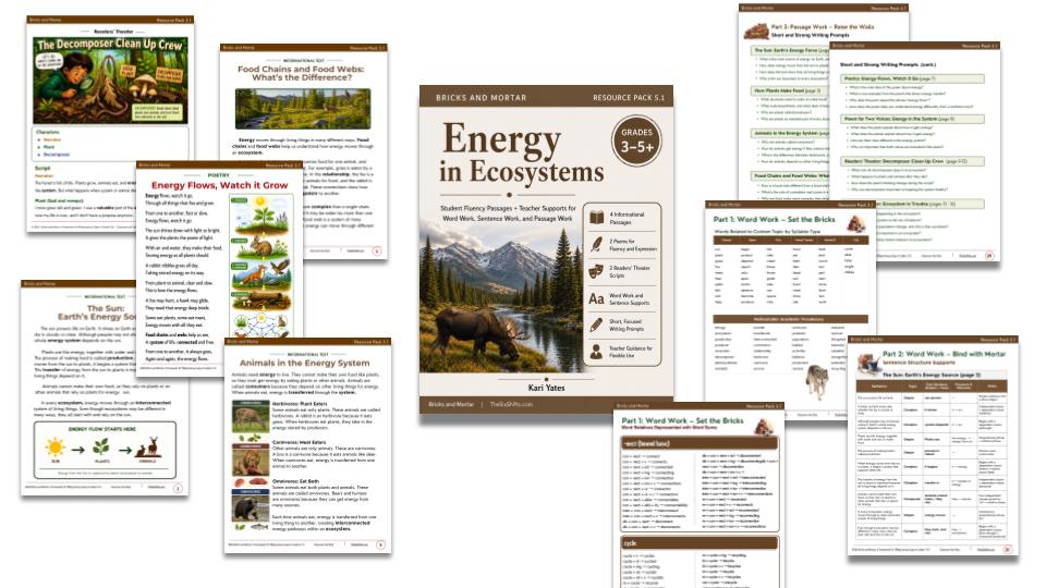 Resource Pack 5.1: Energy in Ecosystems cover