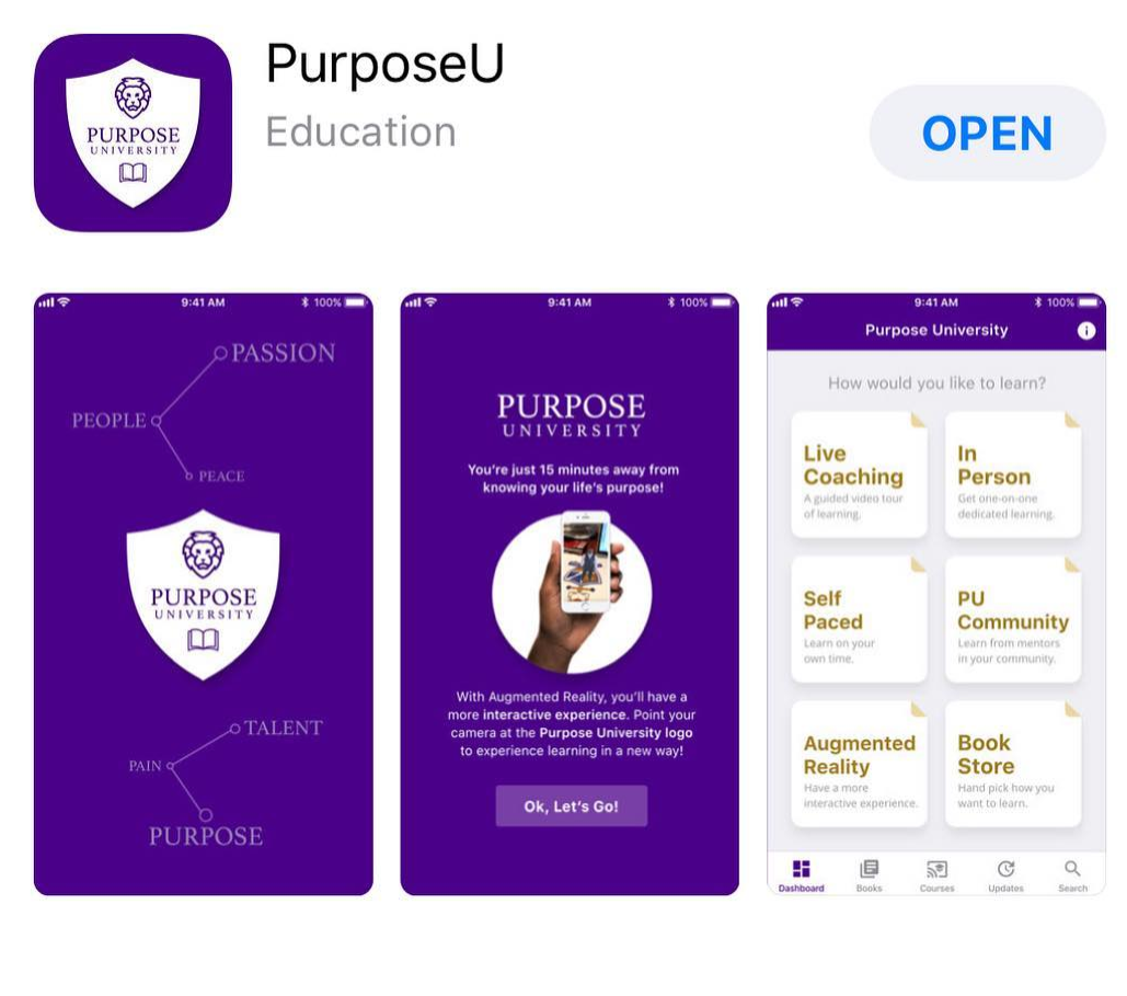 Product image for Social Innovation Incubator and Entrepreneurship Hub