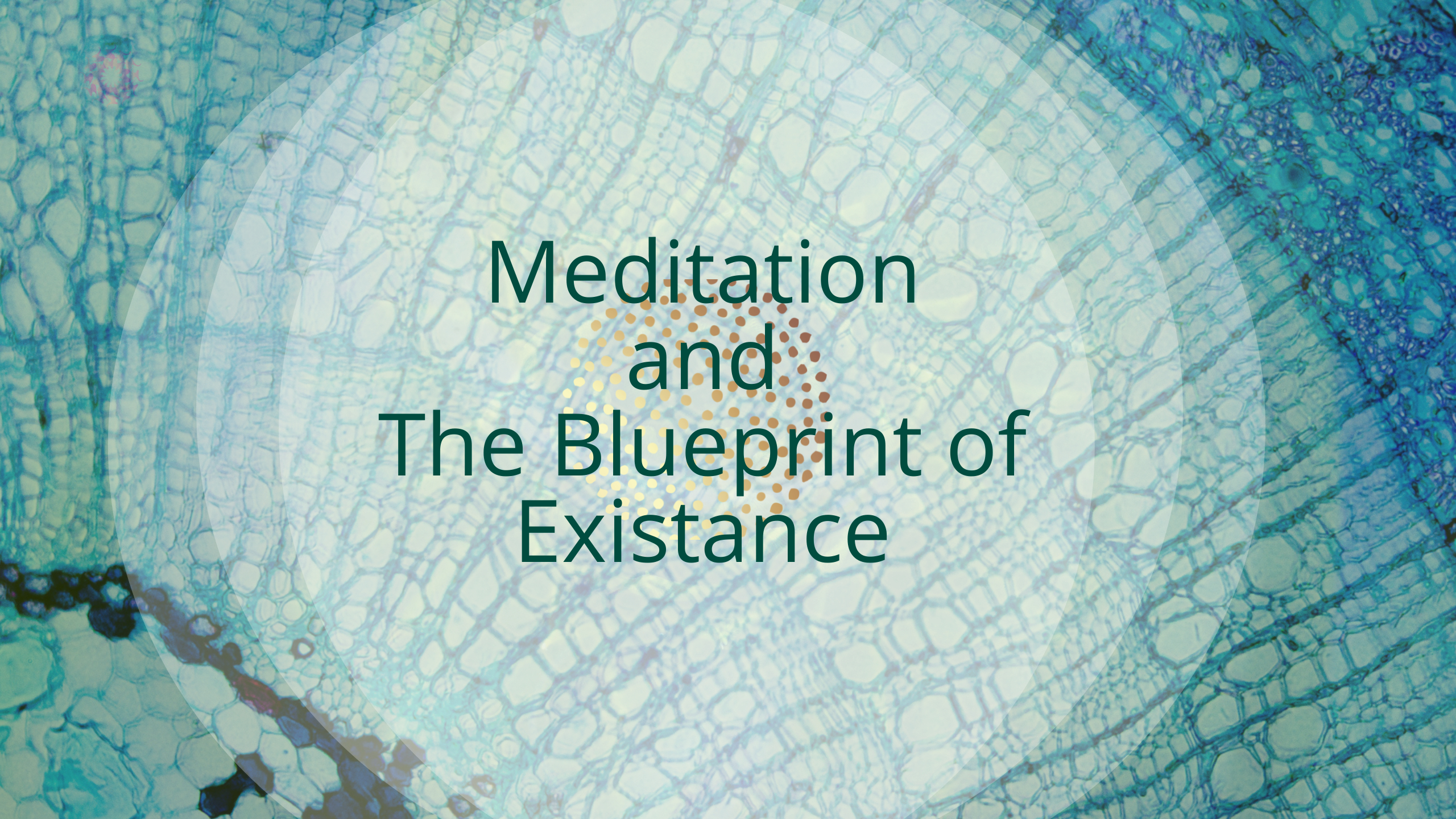 Product image for Meditation and the blueprint of existance