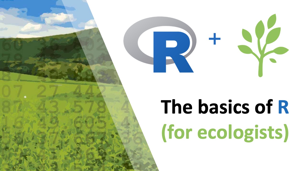 The Basics of R (for ecologists) | R for Ecology