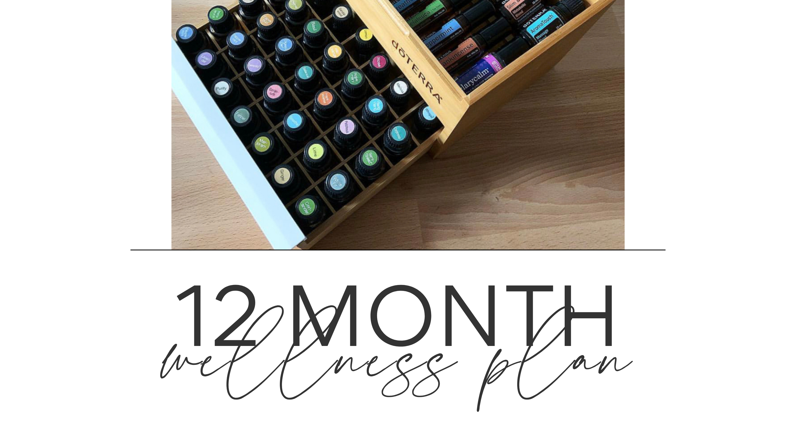 Product image for 12 Month Wellness Plan