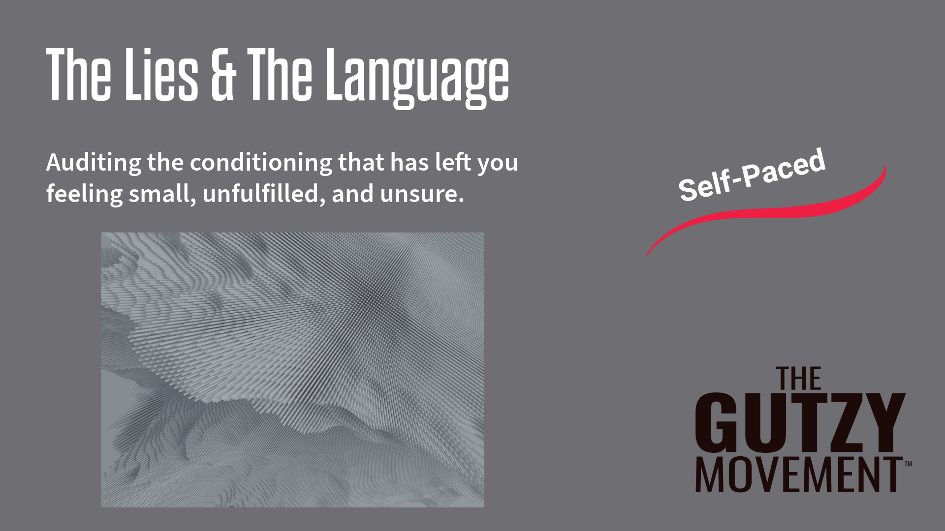 Product image for The Lies & The Language
