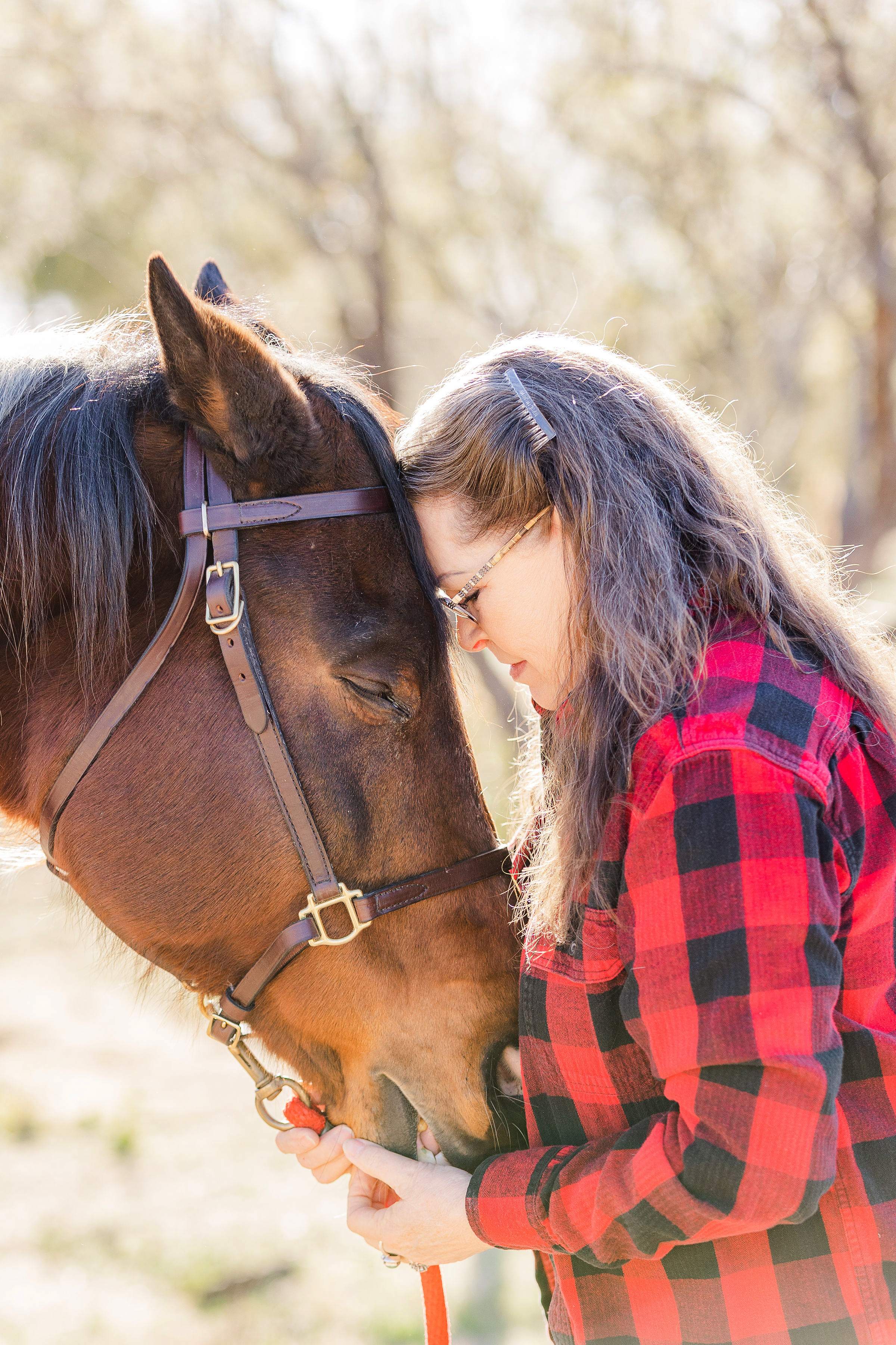 Product image for SF & Animal Mentorship