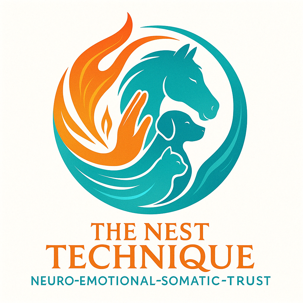 Product image for The NEST Level 1 Training & Mentorship