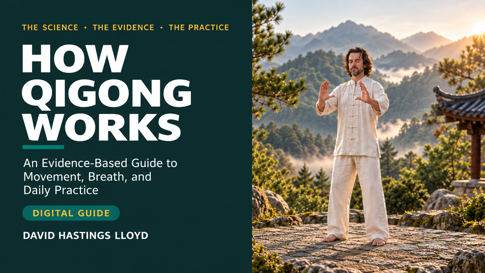 Product image for How Qigong Works: An Evidence-Based Practice Guide