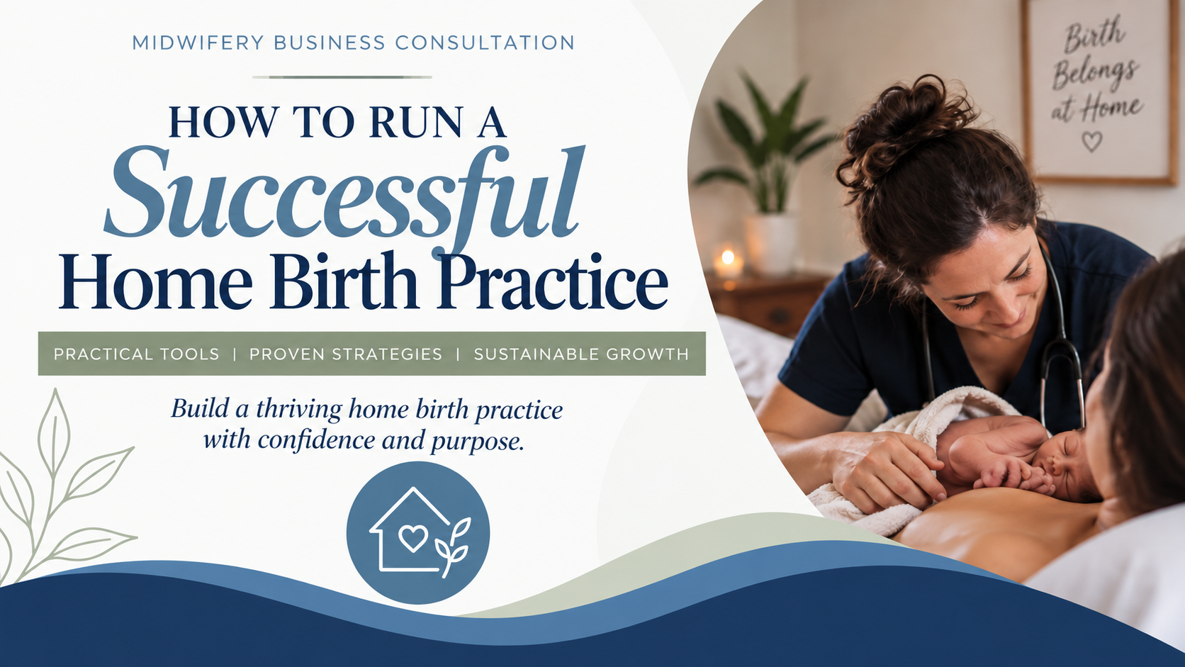 Product image for How to Run a Successful Home Birth Practice (older version)