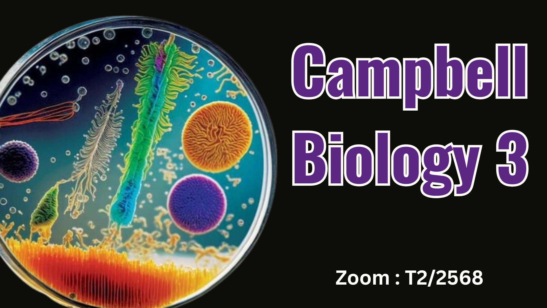 Product image for Campbell Bio 3 (Zoom : Nov68-Feb69)