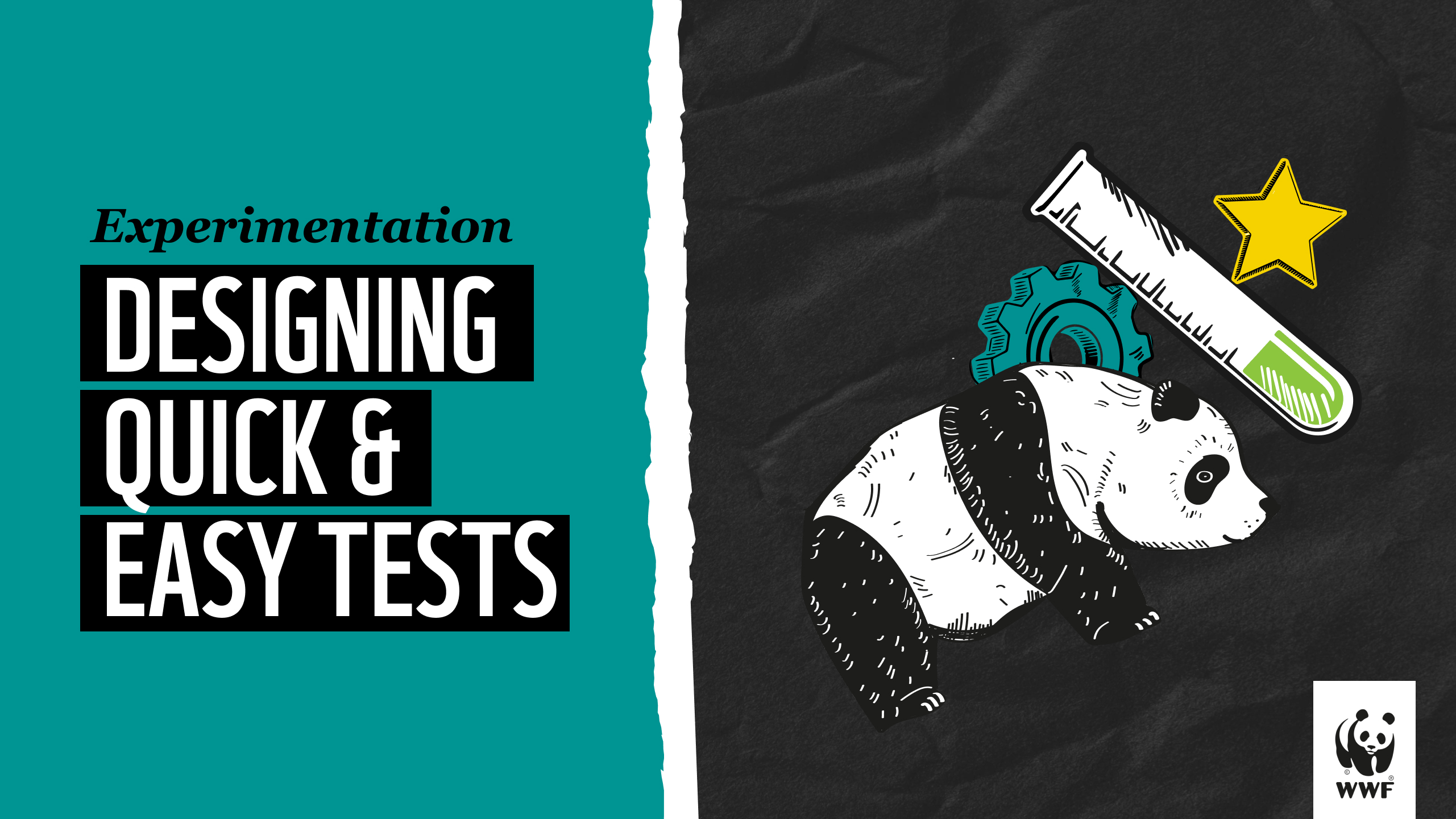 Product image for Experimentation: Designing Quick & Easy Tests