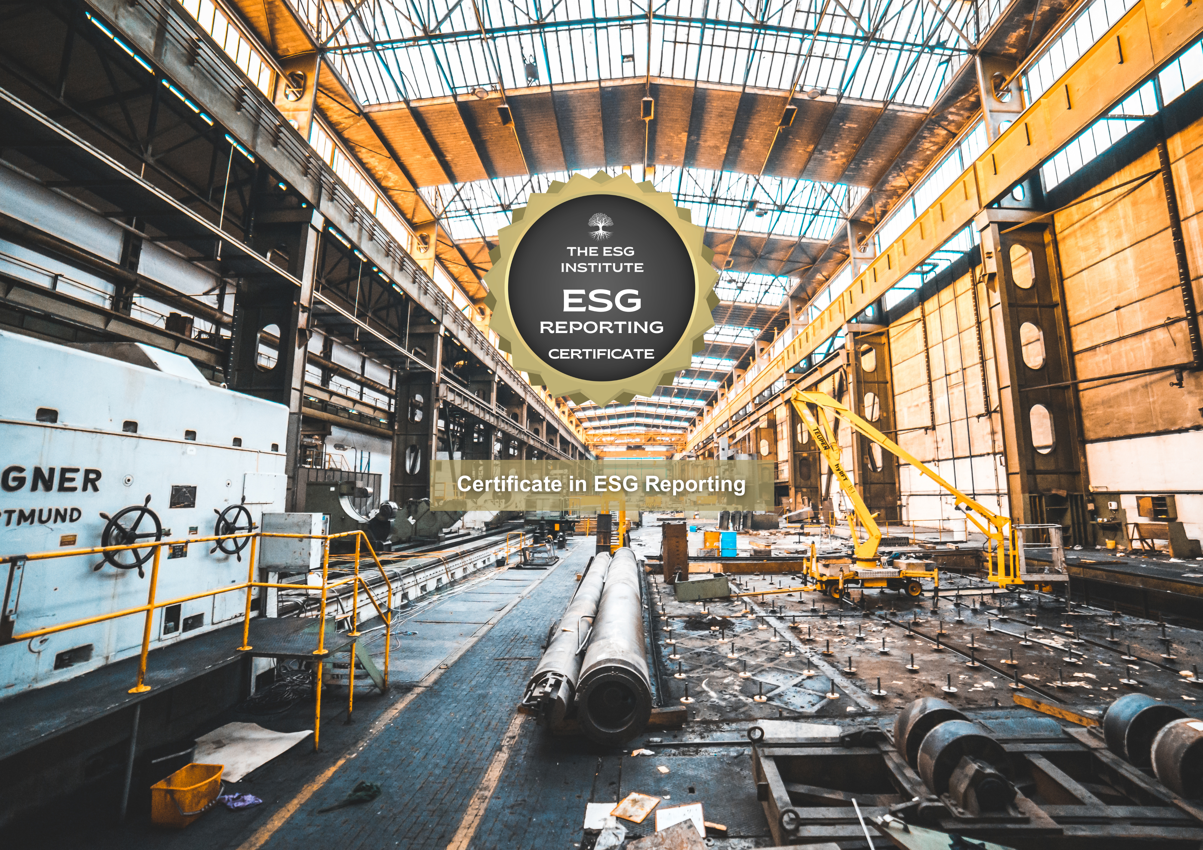 Certificate in ESG Reporting