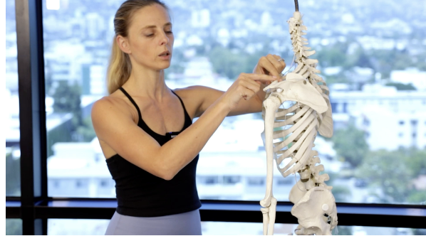 Product image for The Shoulder Part 1: Mechanics, Muscle Function, Dysfunctions & Post-Rehab Protocols (3 NPCP CECs)